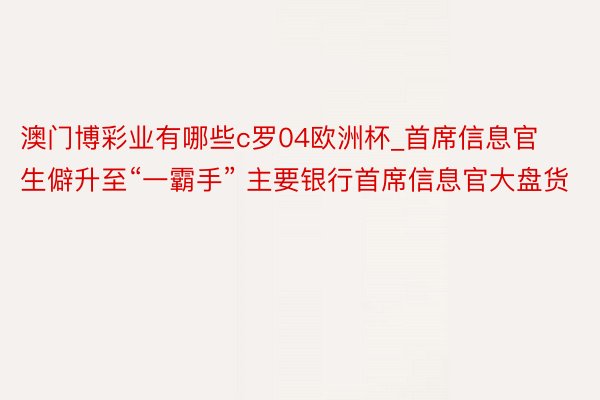 澳门博彩业有哪些c罗04欧洲杯_首席信息官生僻升至“一霸手” 主要银行首席信息官大盘货